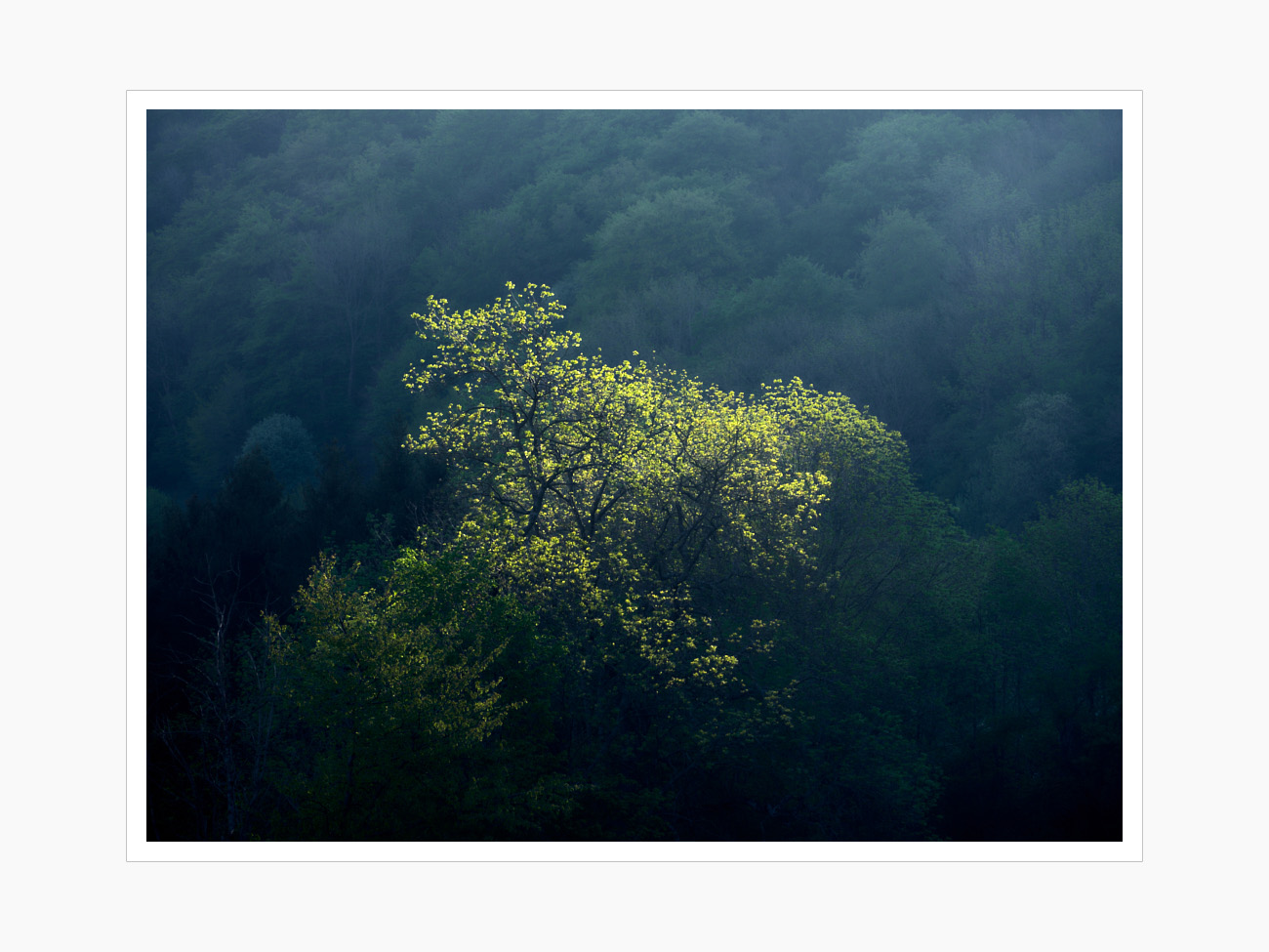 Max Schiefele Alle Bilder  DSF4896